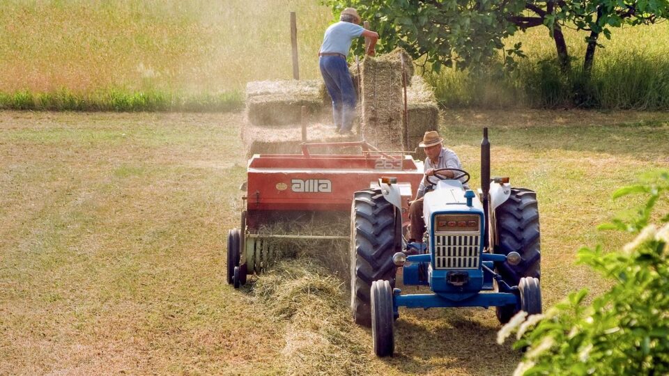 Agricultura (foto: Camera-man / pixabay.com)