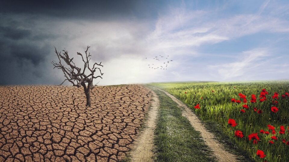 Schimbări climatice (foto: ELG21 / pixabay.com)