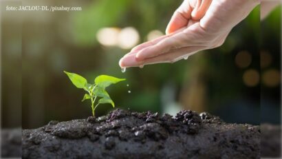La relation entre la perte de biodiversité et le risque d’émergence de maladies