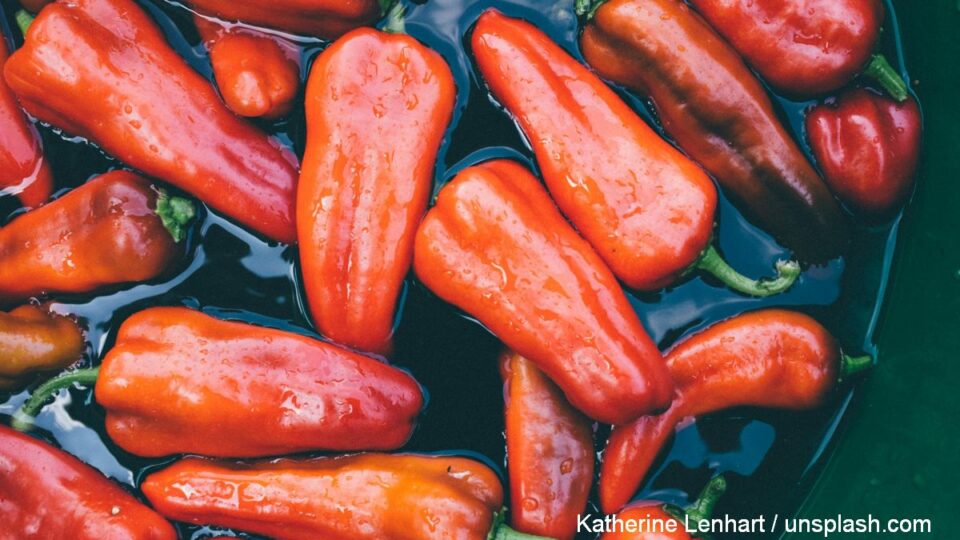 Foto: Katherine Lenhart / unsplash.com