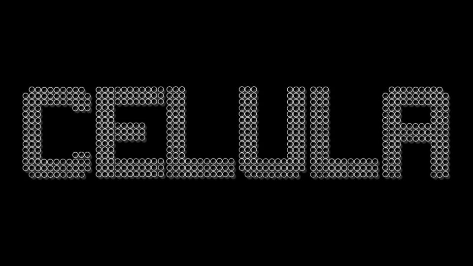 Foto: facebook.com/celuladearta