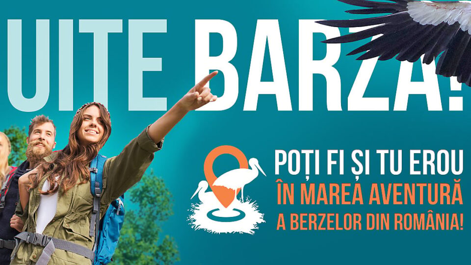uite barza