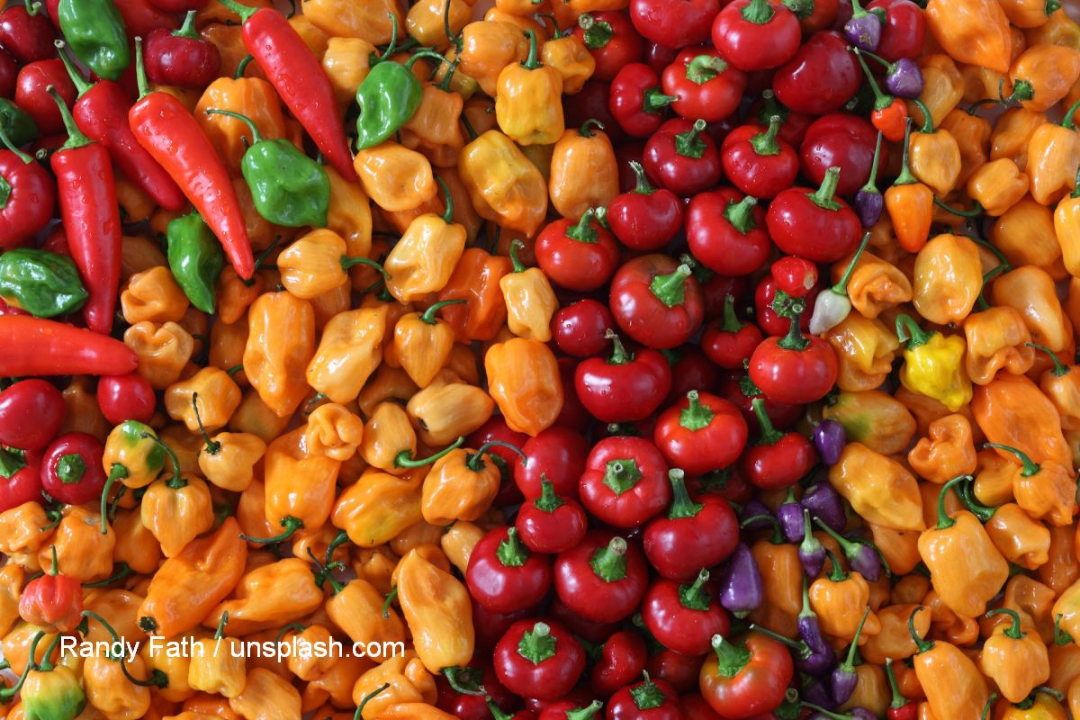 Foto: Randy Fath / unsplash.com Foto: Randy Fath / unsplash.com