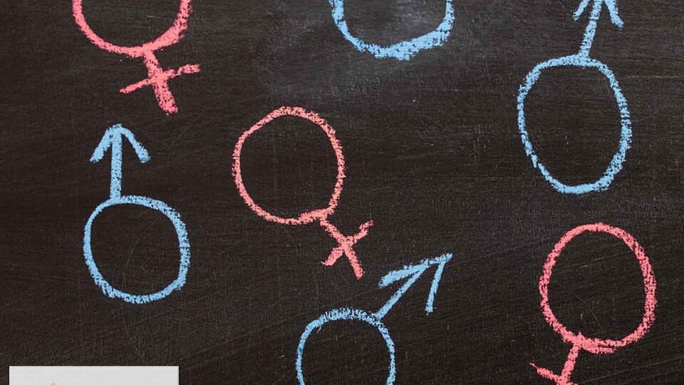 podcast Educația sexuală și dreptul la avort (foto Larisa Rudenko Shutterstock)