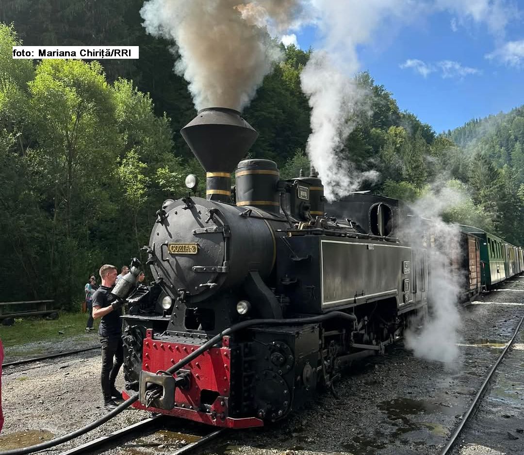 Schmalspurbahn 