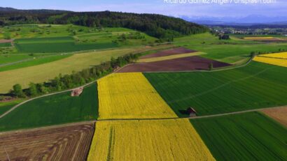 Preţul terenurilor agricole în România