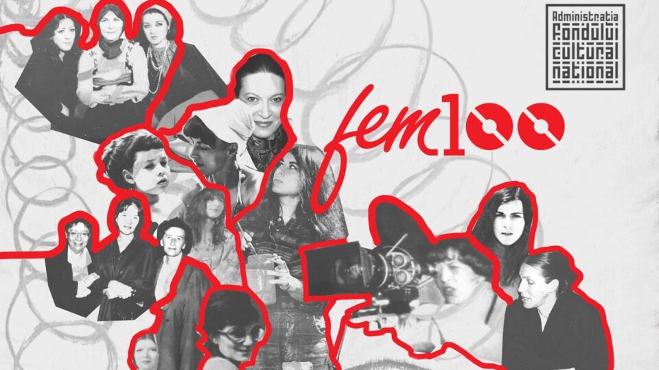 FEM100