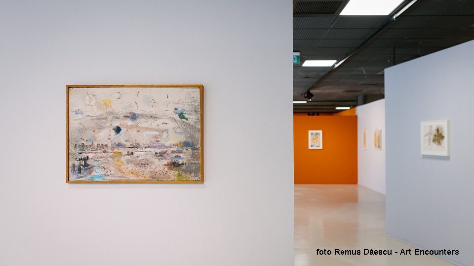 Expoziţie Ştefan Bertalan la Art Encounters (foto Remus Dăescu - Art Encounters)