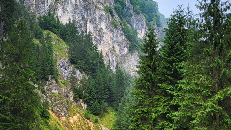 Cheile Dâmbovicioarei (Foto: Florenţa, RRI)