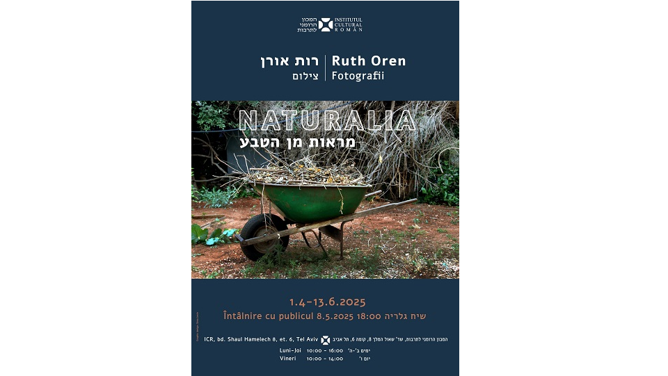 צילום: ICR תל אביב (תערוכת Naturalia – רות אורן)