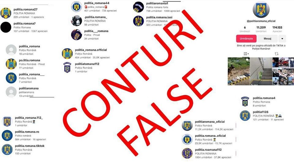 conturi false (foto MAI)