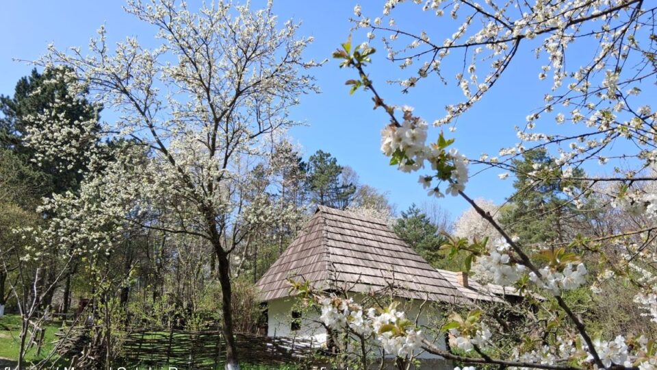 Foto: fb.com / Muzeul Satului Bucovinean - pagina oficiala 
