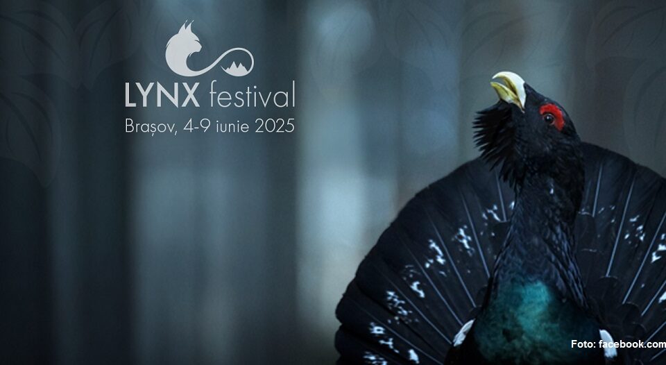Foto: facebook.com/lynxfestival