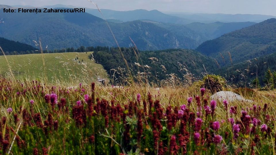Transalpina (foto: Florenţa Zaharescu/RRI)