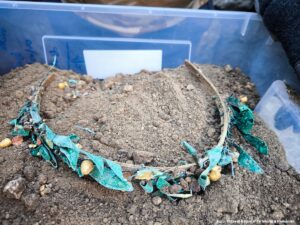 Noi descoperiri arheologice în situl oraşului antic Callatis