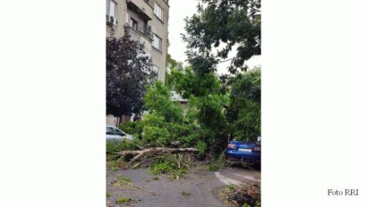 Foto: Eugen Cojocariu, RRI