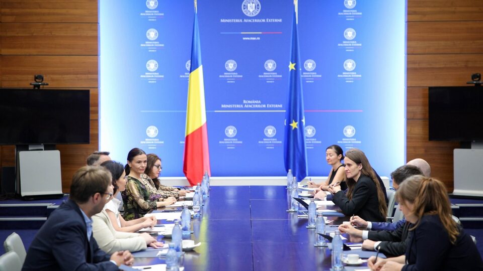 Oana Țoiu și delegația AmCham România (Foto: mae.ro)