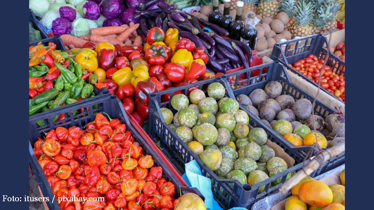 La miscelánea: El consumidor rumano frente a los productos ecológicos