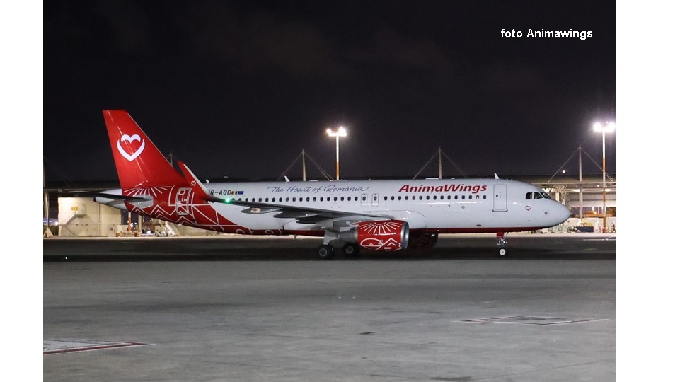 avion AnimaWings (foto AnimaWings)