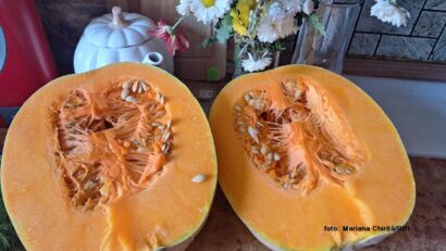 foto: Mariana Chiriţă/RRI foto: Mariana Chiriţă/RRI