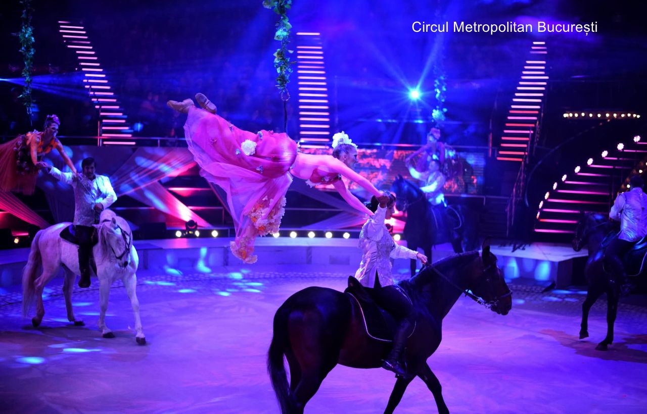 Sursa foto: Circul Metropolitan București
