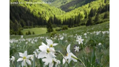 Parque Nacional de los Montes Rodna