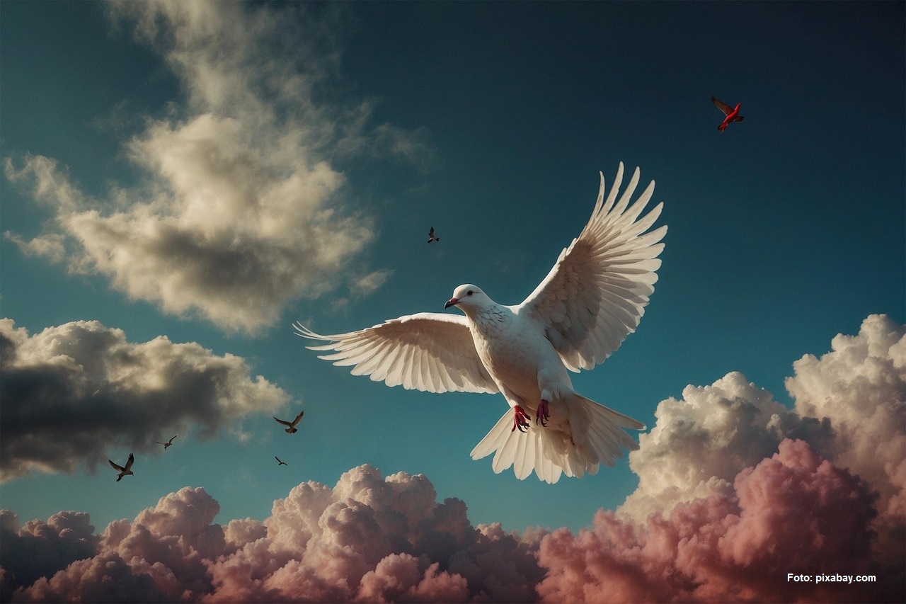 Foto: pixabay.com