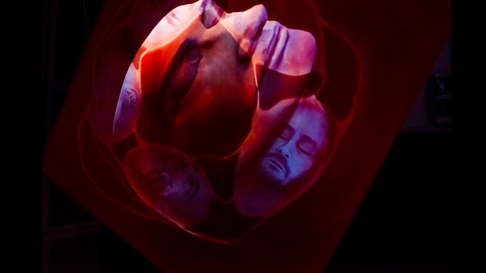 Grădina Deliciilor Sintetice_The Gaze of no Return