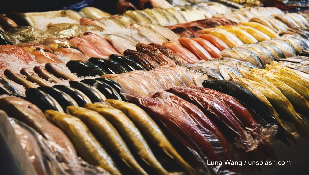 Foto: Luna Wang / unsplash.com