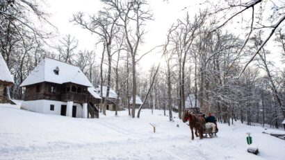 Muzeul Astra (Foto: facebook.com/muzeulastrasibiu)