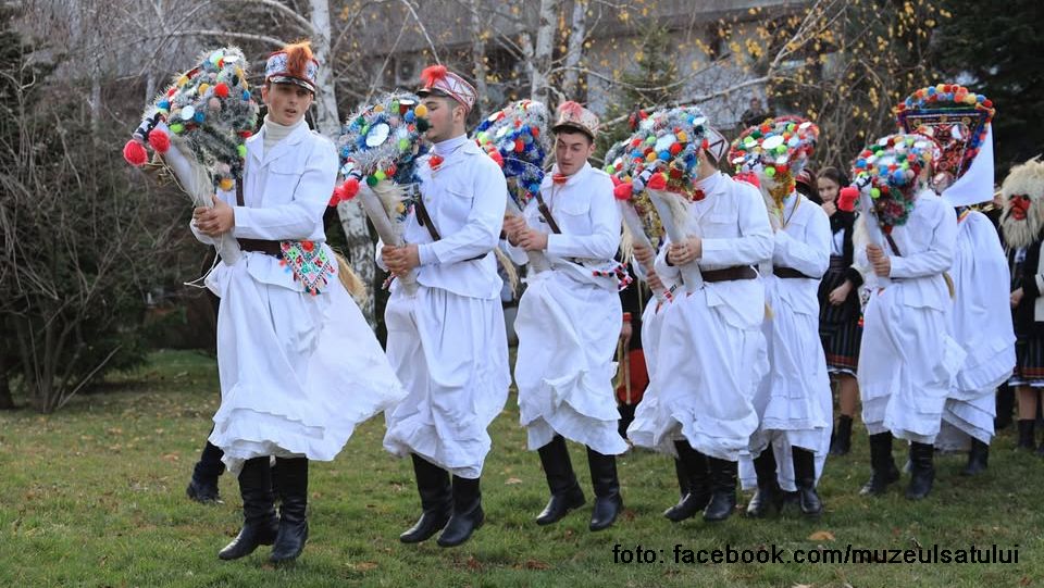 Florile dalbe (sursă foto: facebook.com/muzeulsatului)