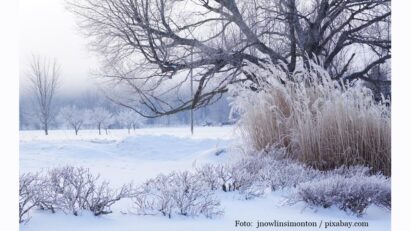 Foto: jnowlinsimonton / pixabay.com