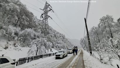 Sursa foto: Distributie Energie Electrica Romania / Facebook