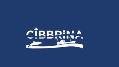 Instituțiile UE colaborează cu pescarii pentru a menține siguranța faunei marine