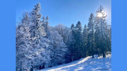 2026年3月8日：波亚纳布拉索夫：滑雪、自然与休闲