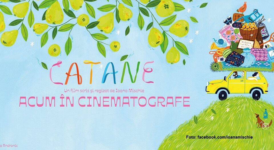 Foto: facebook.com/ioanamischie