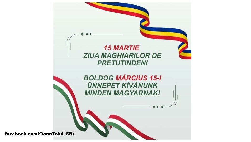 sursă foto: facebook.com/OanaToiuUSR/