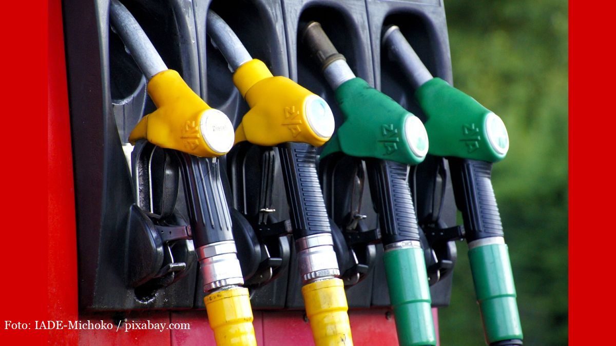 Foto: IADE-Michoko / pixabay.com