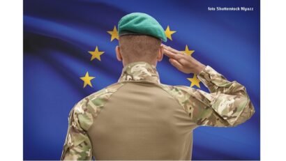 Oare toată lumea vrea în armată?