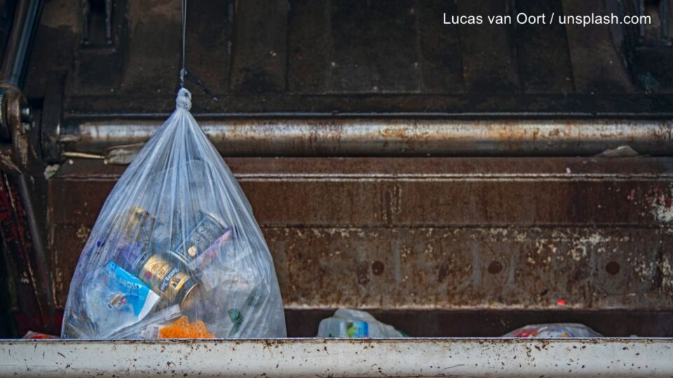 Foto: Lucas van Oort / unsplash.com