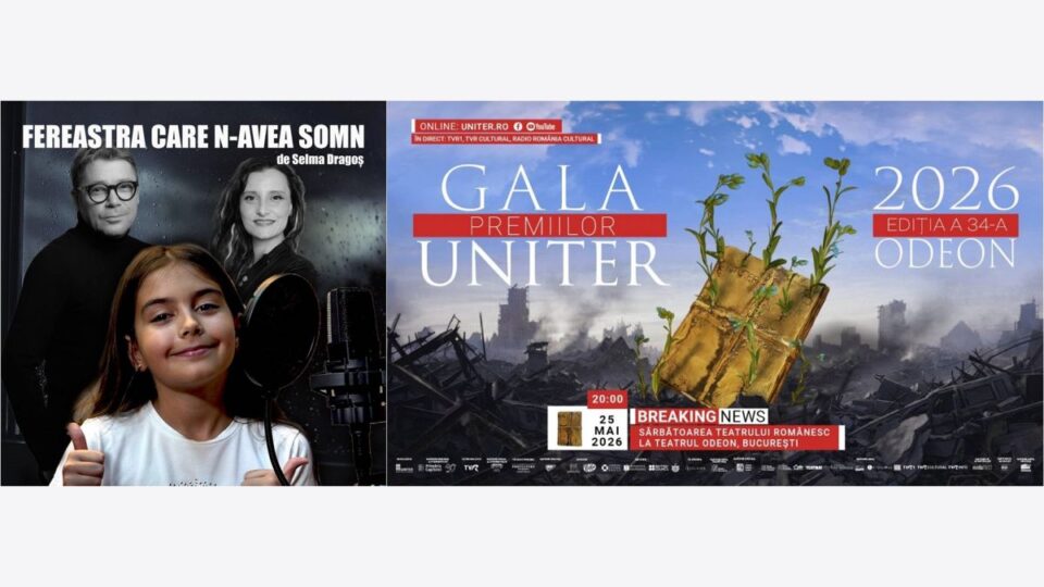 Fereastra care n-avea somn de Selma Dragoș
