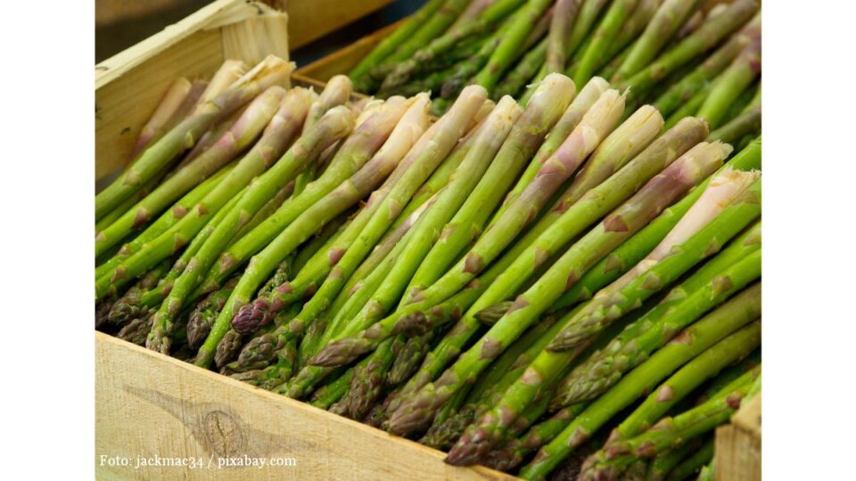 Asparagus shoots (Photo: jackmac34 / pixaby.com)