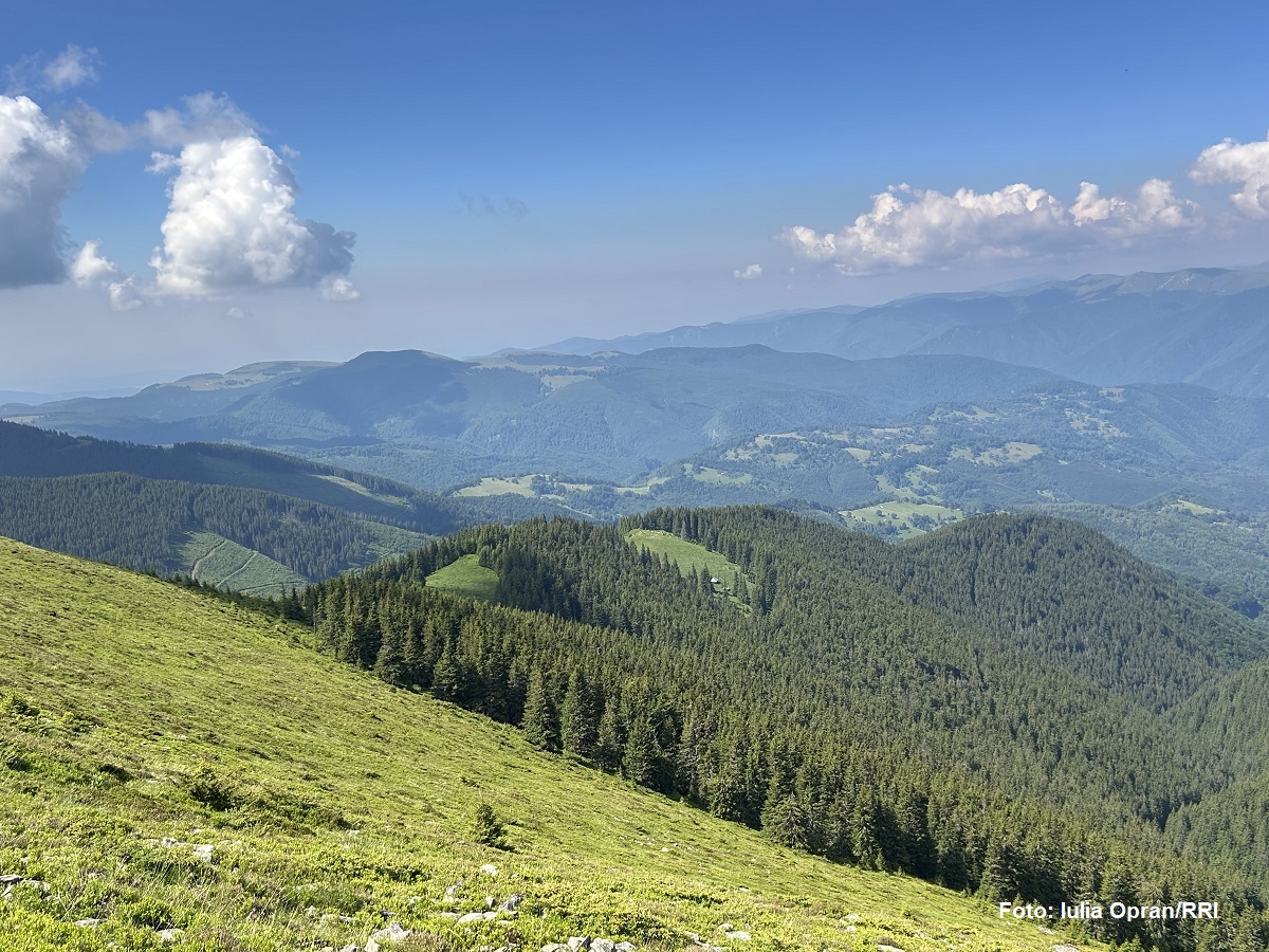 Valea Jiului
