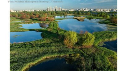 Cintura verde per Bucarest (Facebook / Primăria Municipiului Bucureşti)