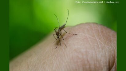 Creștere alarmantă a cazurilor de West Nile în Grecia