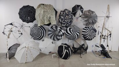 Expoziţia Wanda Mihuleac - „Anomalie” (foto Radio România Internaţional)