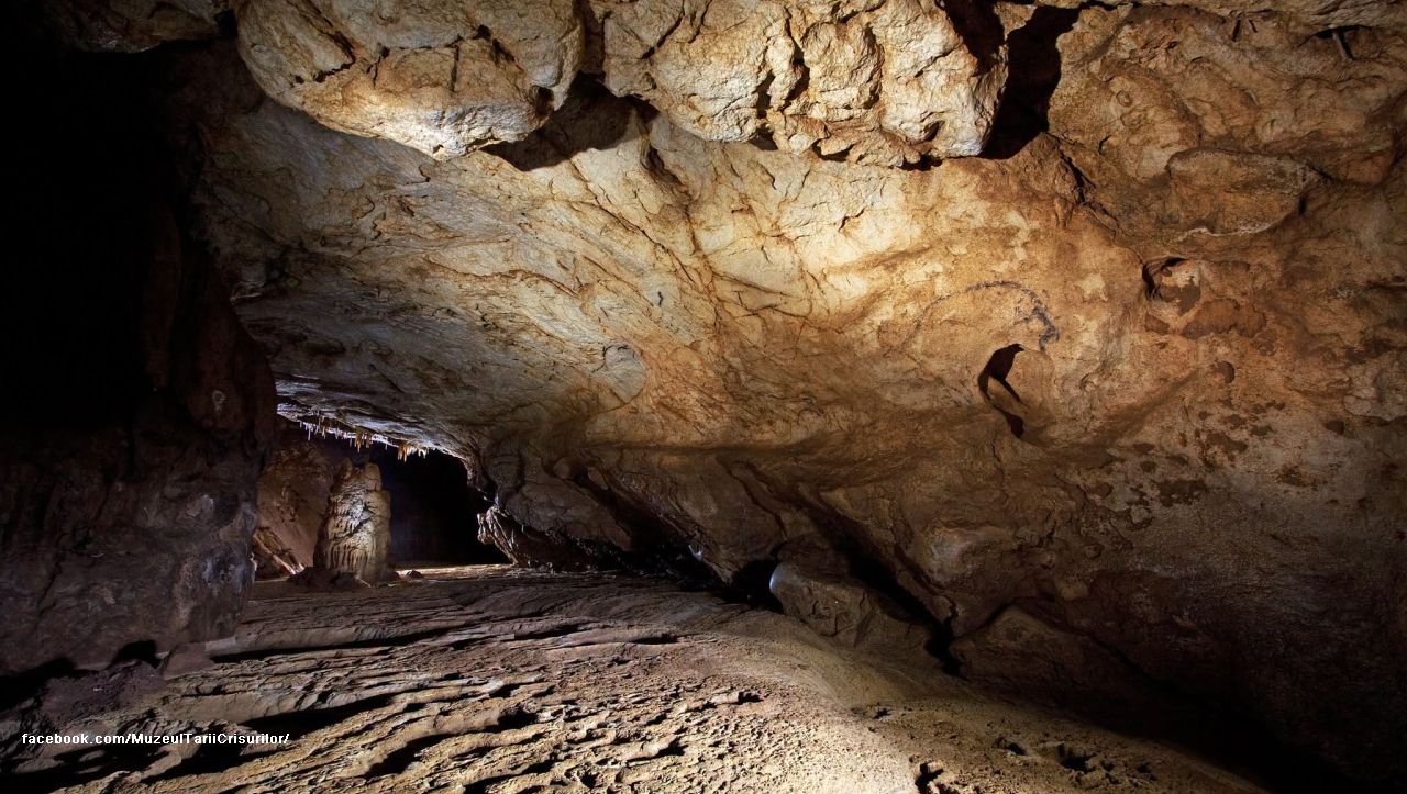 Peştera Coliboaia, pe drumul recunoaşterii UNESCO