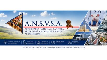 banner ANSVSA (foto Facebook ANSVSA)