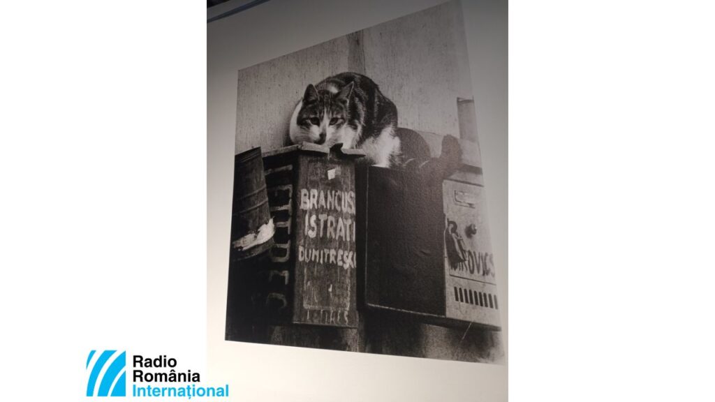 Expozitie Brâncusi, Cutia poștală / Foto: Ștefan Baciu RRI