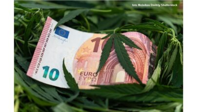 Va fi Europa infiltrată de criminalitatea organizată legată de drog? (foto Melnikov Dmitriy Shutterstock)